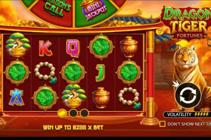 Dragon Tiger Fortunes gameplay image