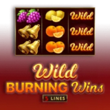 Wild Burning Wins: 5 Lines
