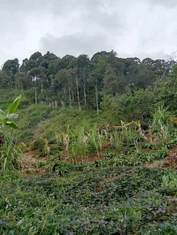 Preserve Our Natural Resources