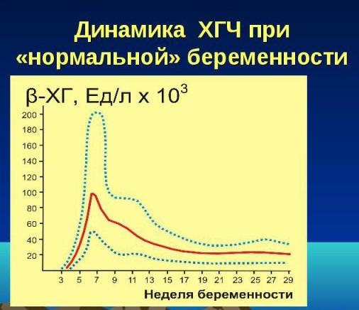 Результат хгч при внематочной беременности