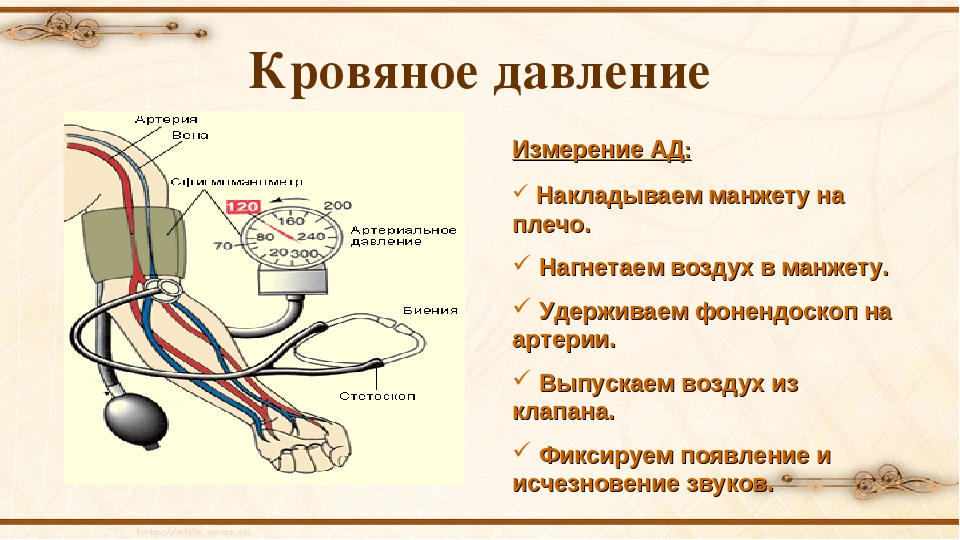 Чем отличается артериальная. Артериальное кровяное давление. Кровяное давление в артериях. Давление крови в сосудах. Давление в кровеносных сосудах.