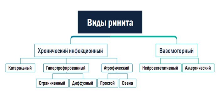 Хронический ринит презентация