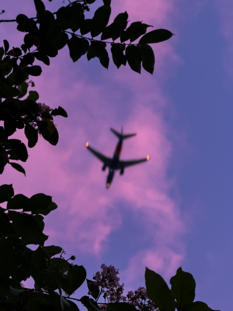 IMG 0921 kp1ejw