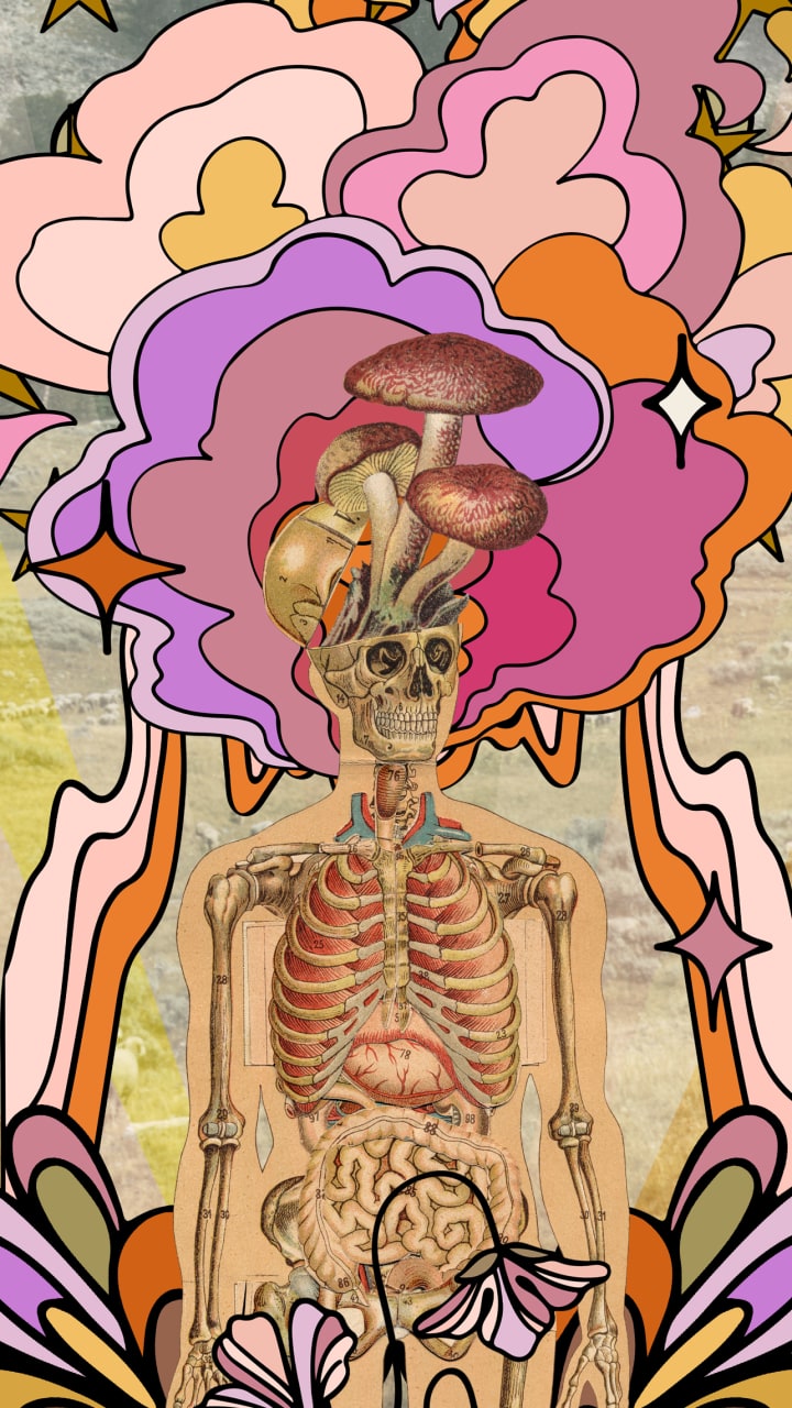 Mushrooms for Brains: A vibrant, surreal collage featuring a vintage anatomical illustration of a human skeleton with exposed organs. The top of the skull is open, revealing a cluster of large mushrooms growing from where the brain would be. Surrounding the figure is an explosion of psychedelic, 70s-style shapes in pinks, oranges, purples, and yellows, along with stylized stars, hearts, and flowers. The chaotic yet harmonious background evokes a hallucinogenic state, suggesting themes of altered perception, mind expansion, and the natural world blooming from within.