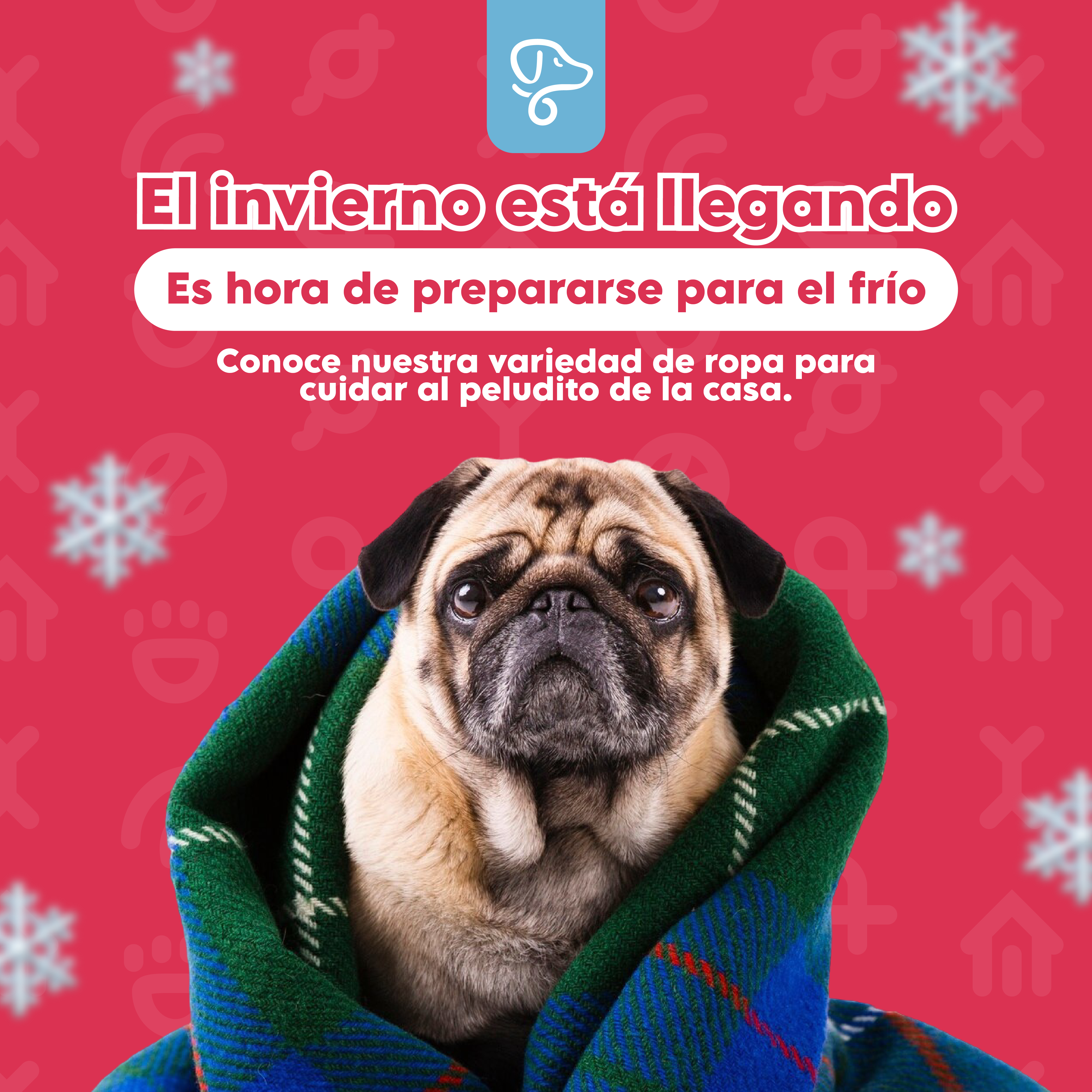 Proyecto 1 - Post