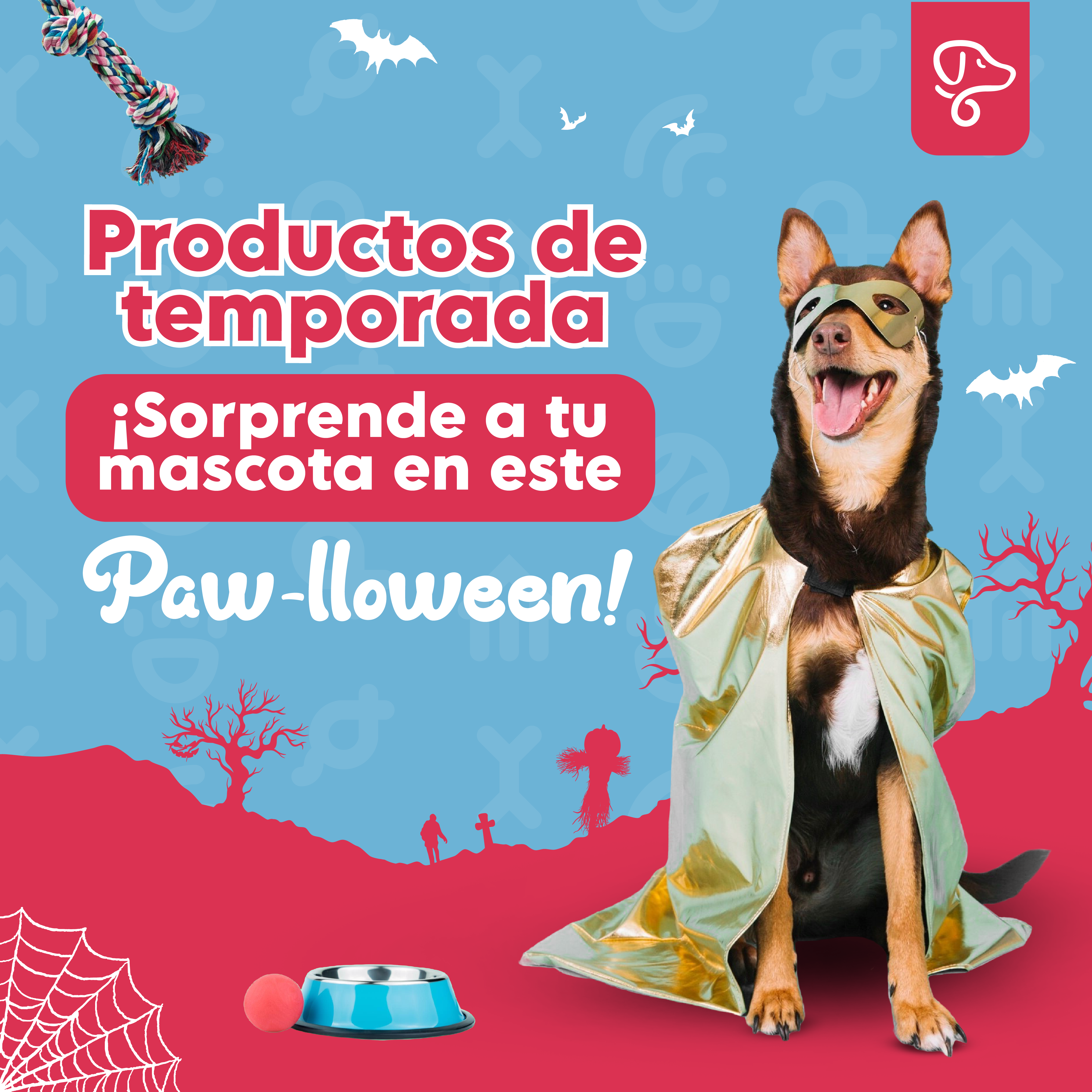 Proyecto 3 - Post