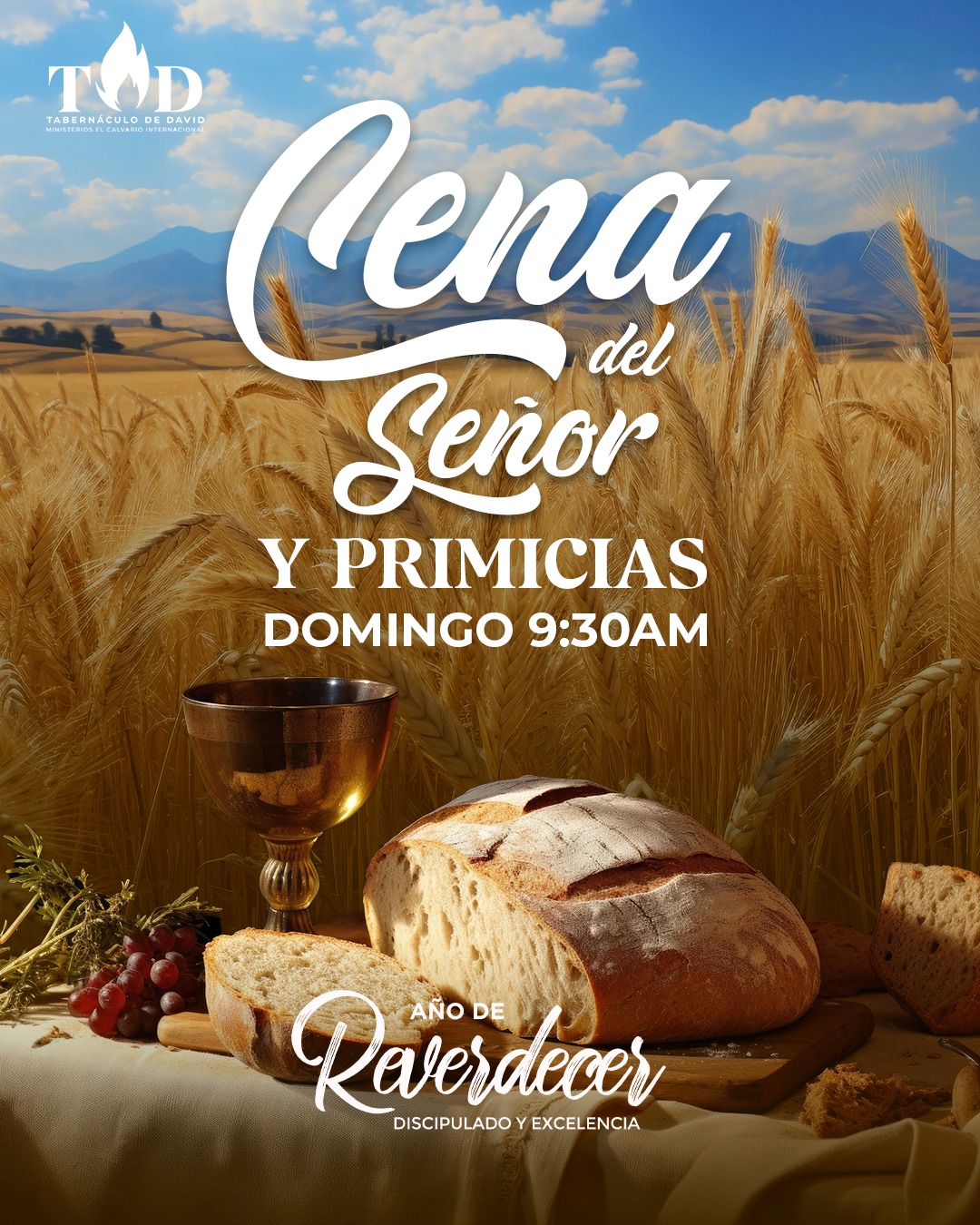 Proyecto 4 - Historia