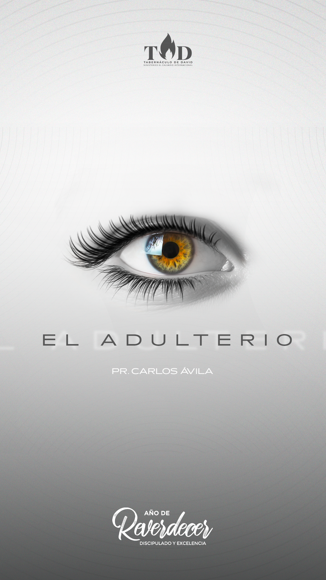 Proyecto 2 - Historia