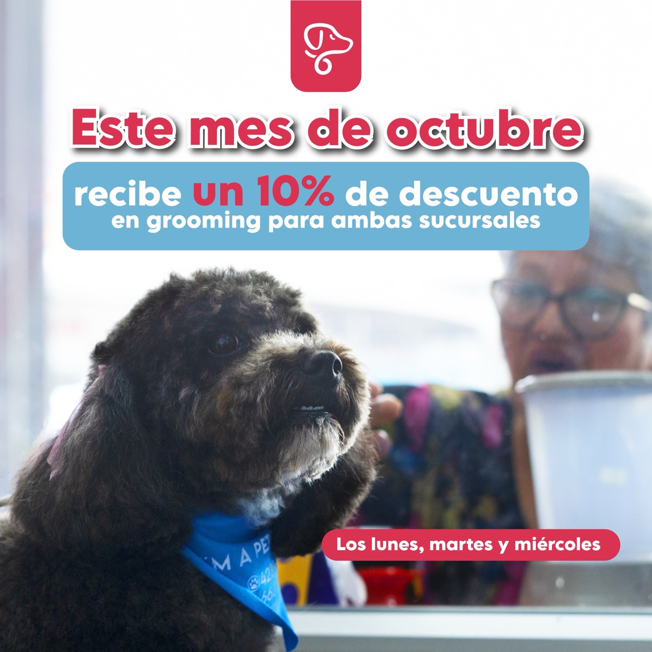 Proyecto 5 - Post