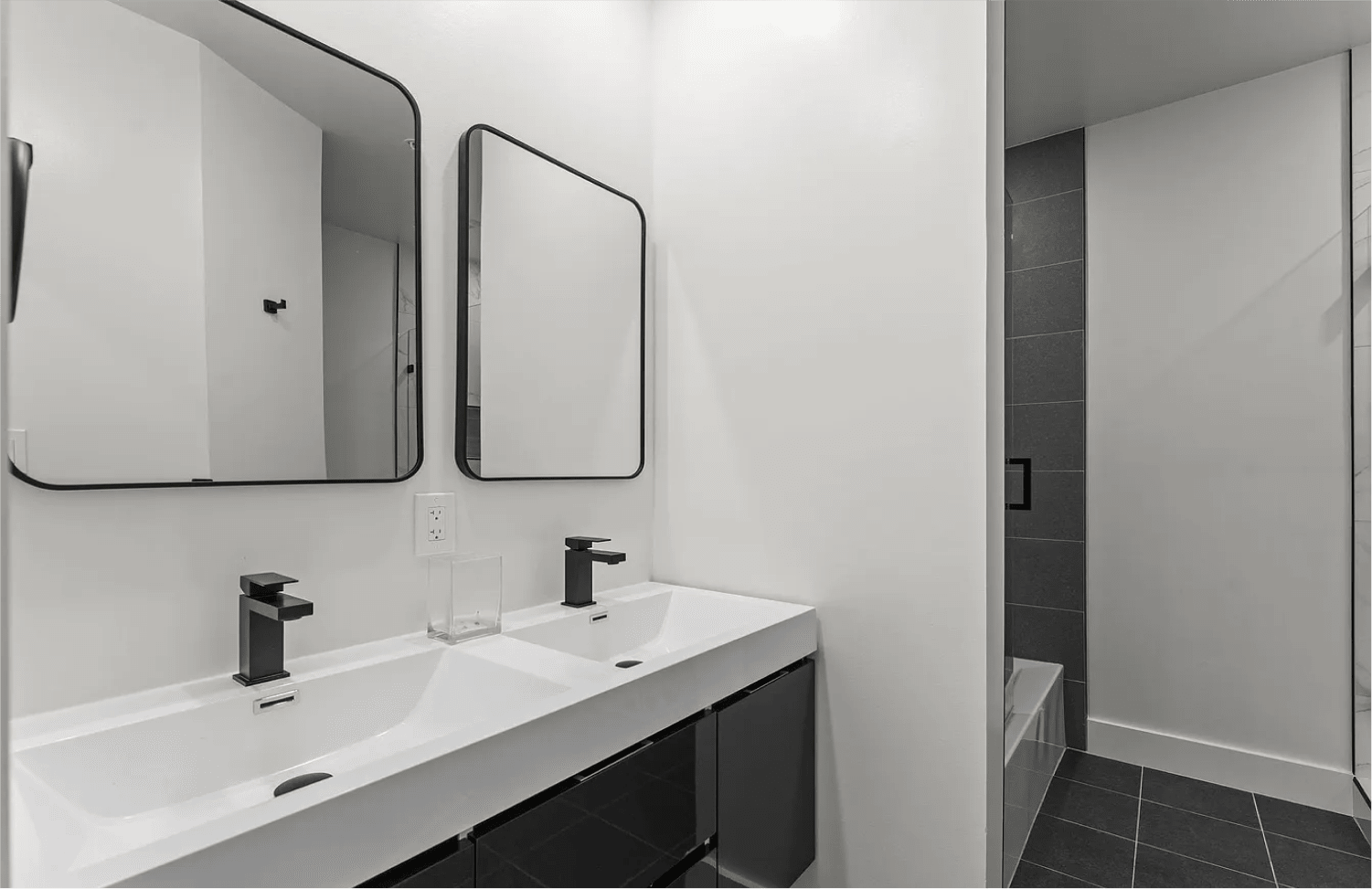 Basement Guest Suite renovation with private bedroom in Washington DC