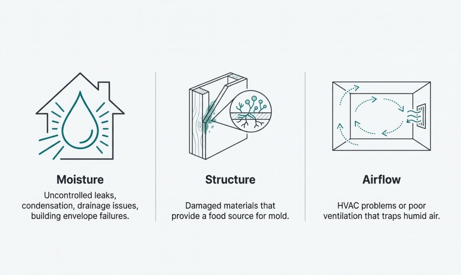 Illustration of moisture, structure, and airflow as key factors in mold problems.