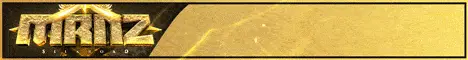 MrNz Silkroad Banner