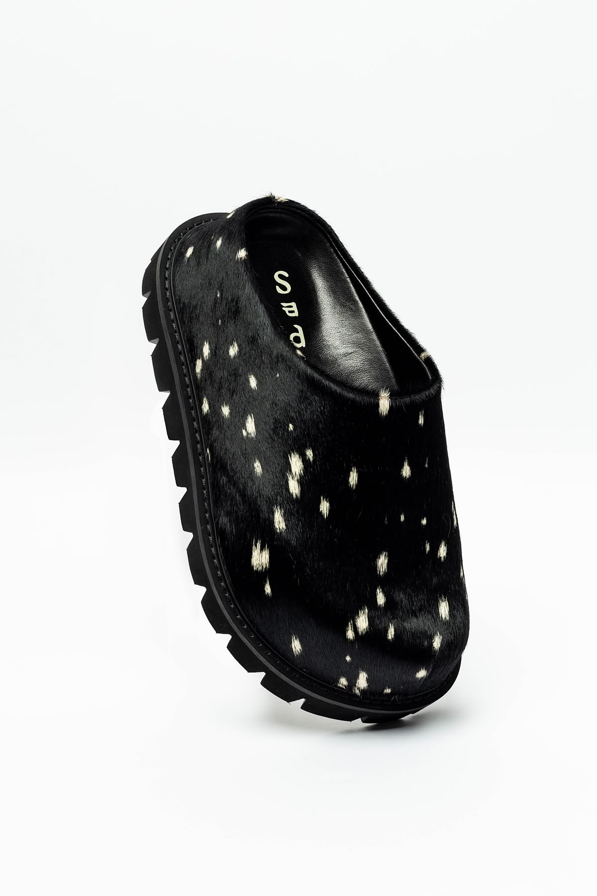 The ROAM Black Pony