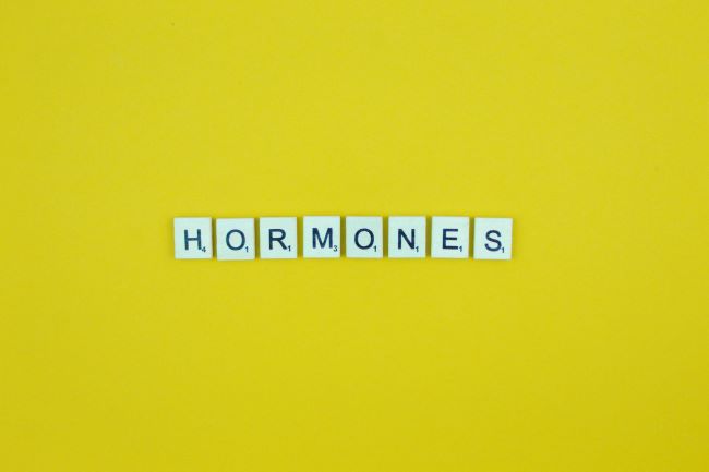 hormone imbalance, hormones, reasons why for hormone imbalance, why do i have a hormone imbalance, best ed pills