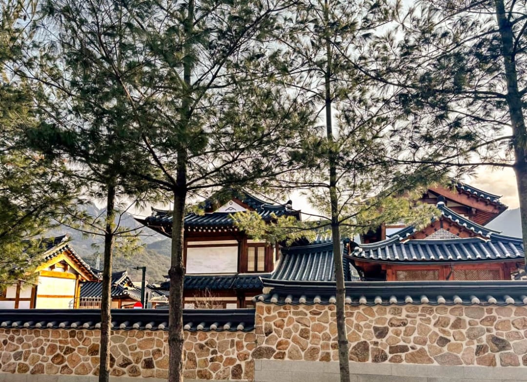 School trip to South Korea%//%Voyage scolaire en Corée du Sud