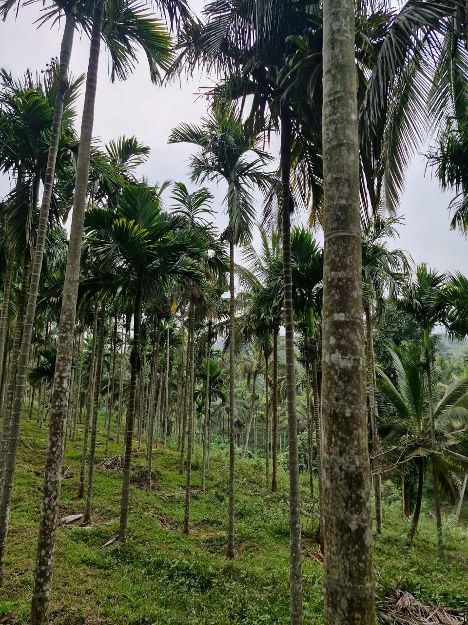 House & land for Sale