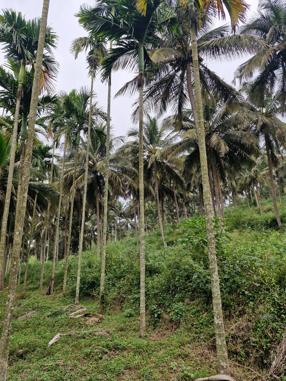 House & land for Sale