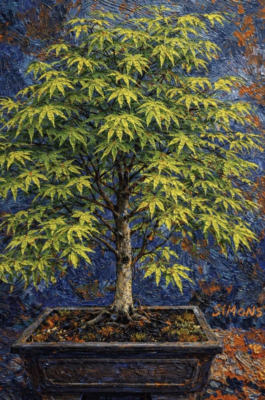 “Japanese maple“
