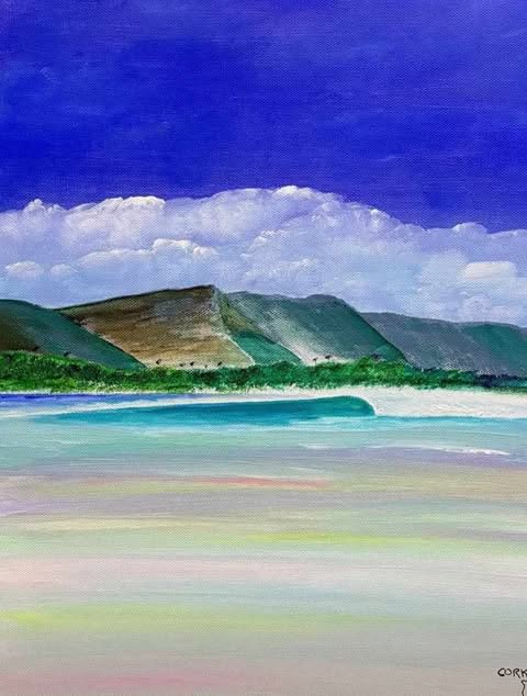 "REEF PASS"
