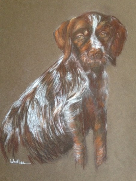 Sam pup