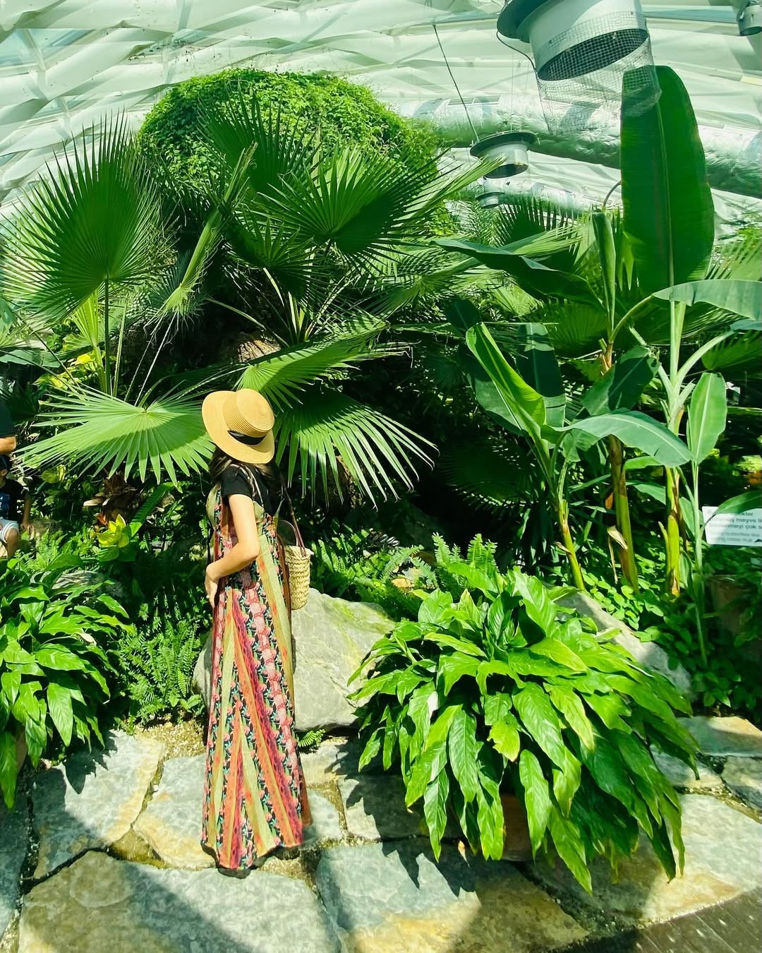 Konya Tropikal Kelebek Bahçesi