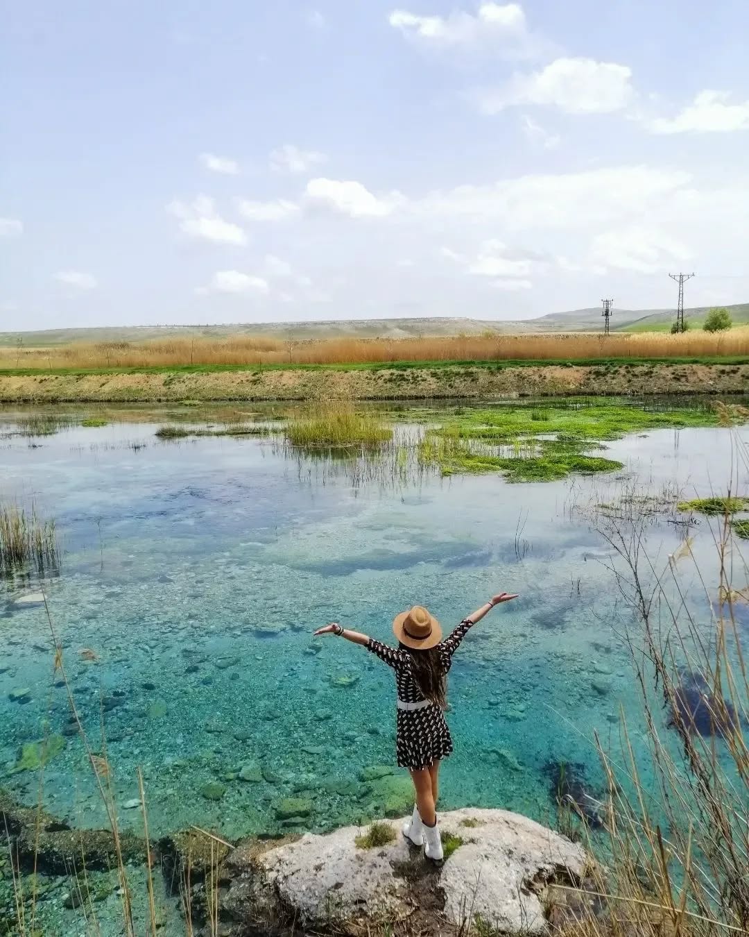 Sakarya Başı Piknik Alanı