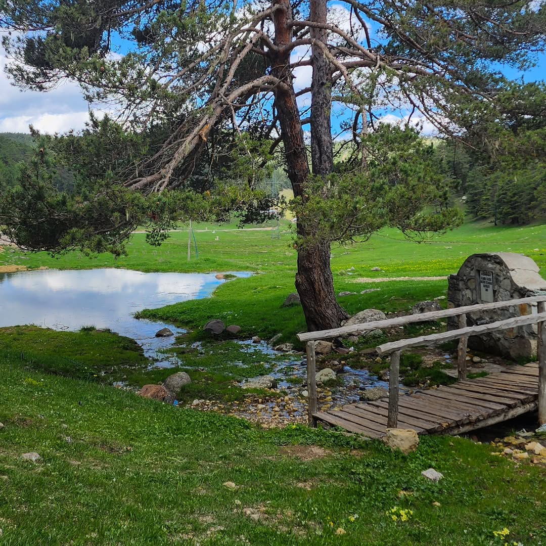 Eğriçimen Yaylası