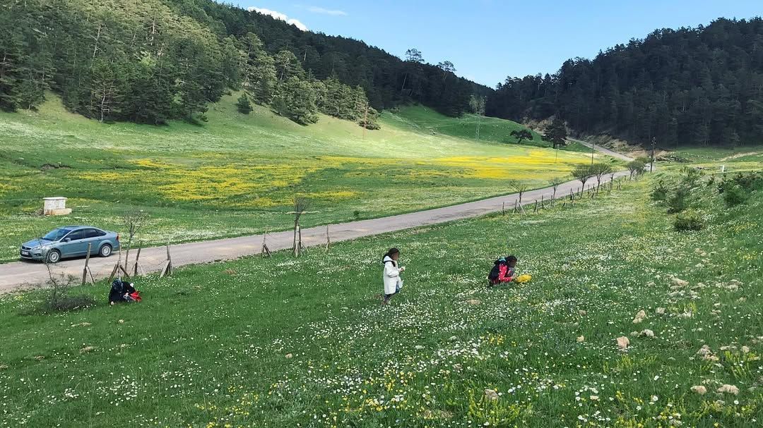 Eğriçimen Yaylası