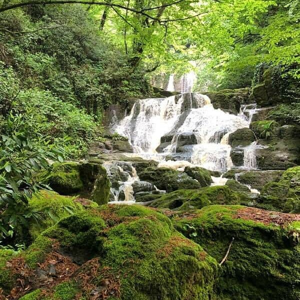 Harmankaya Şelaleleri