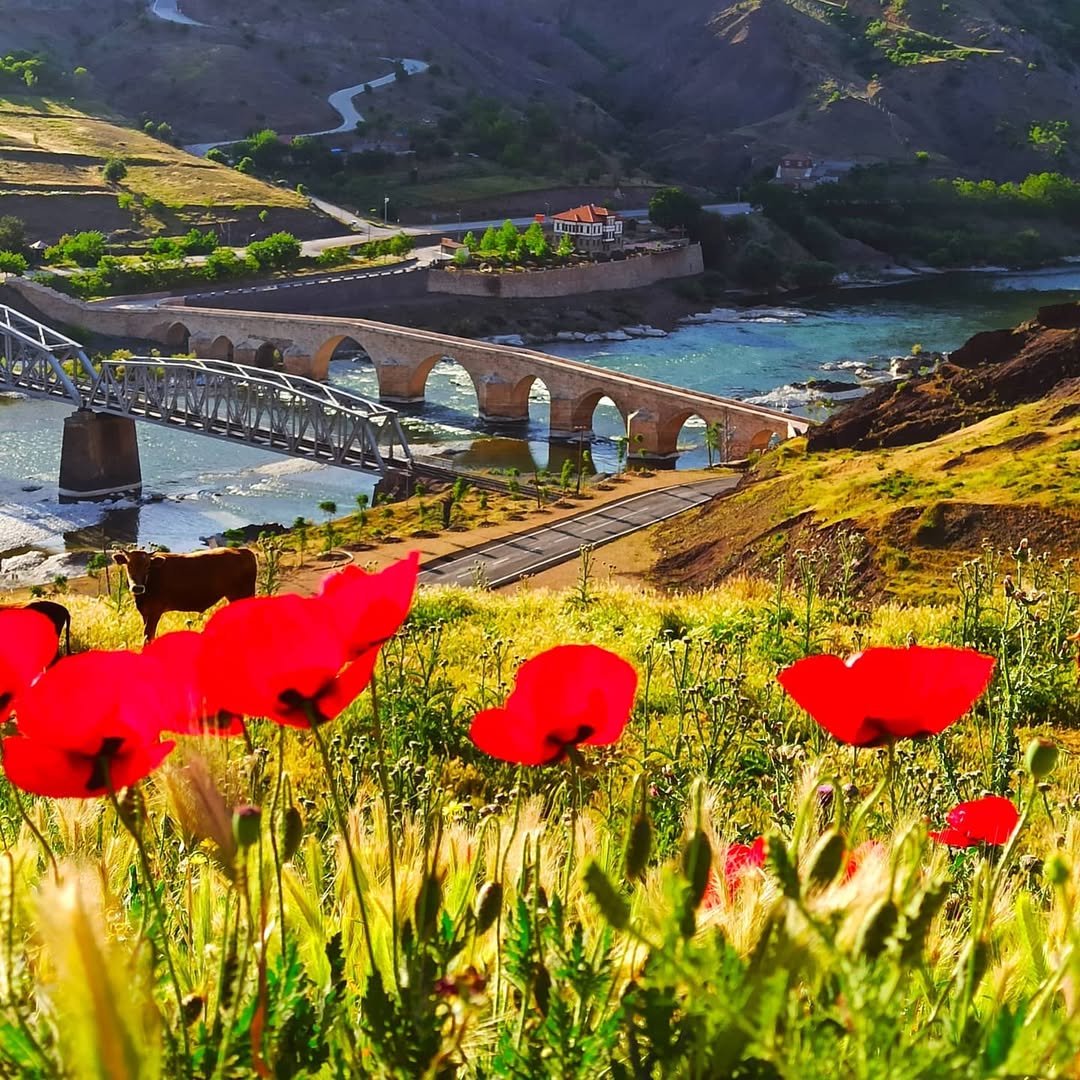 Tarihi Palu Köprüsü