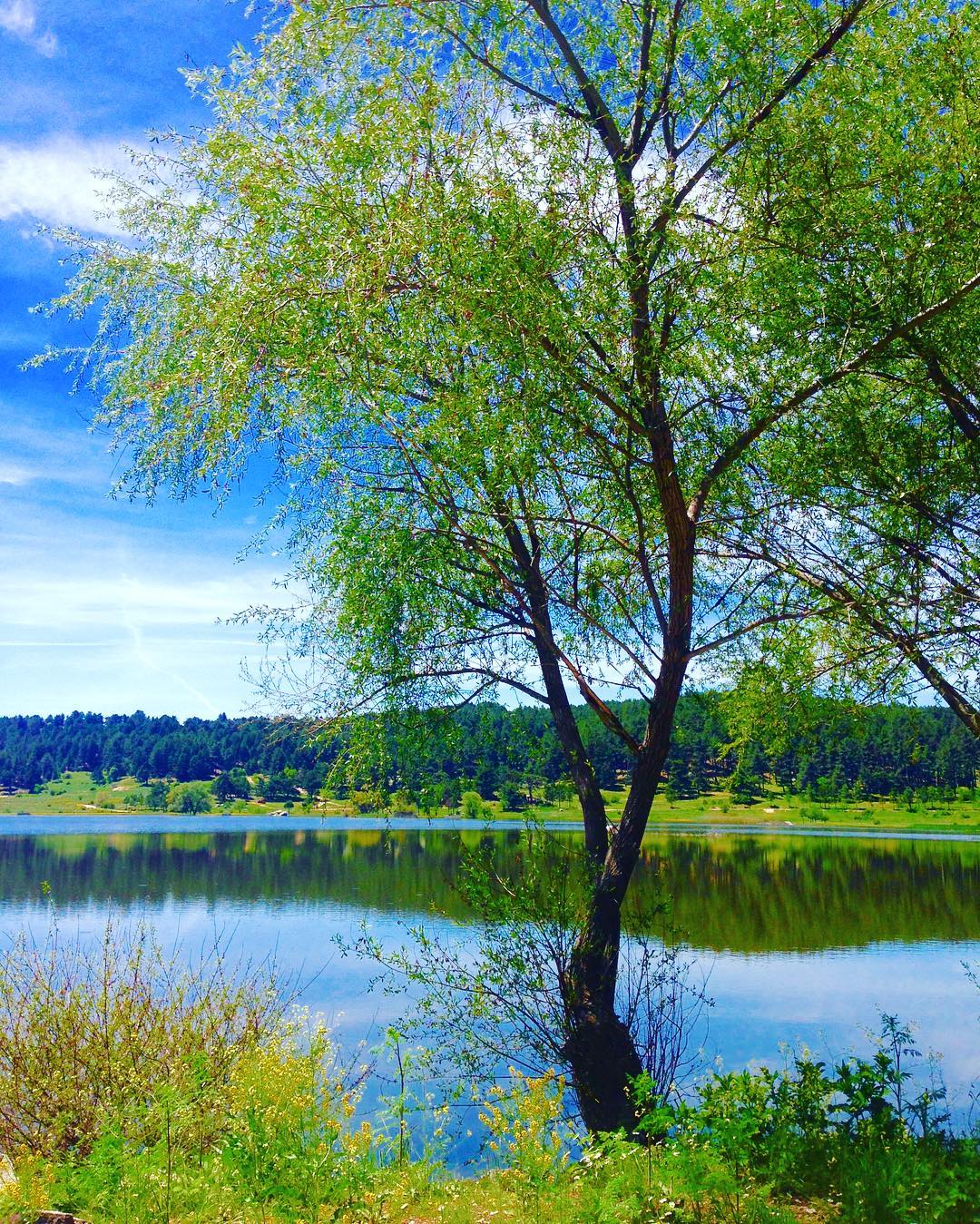 Simav Gölcük Yaylası