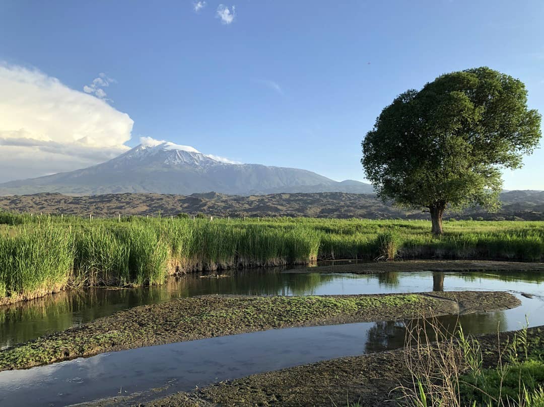 Ağrı Dağı Milli Parkı