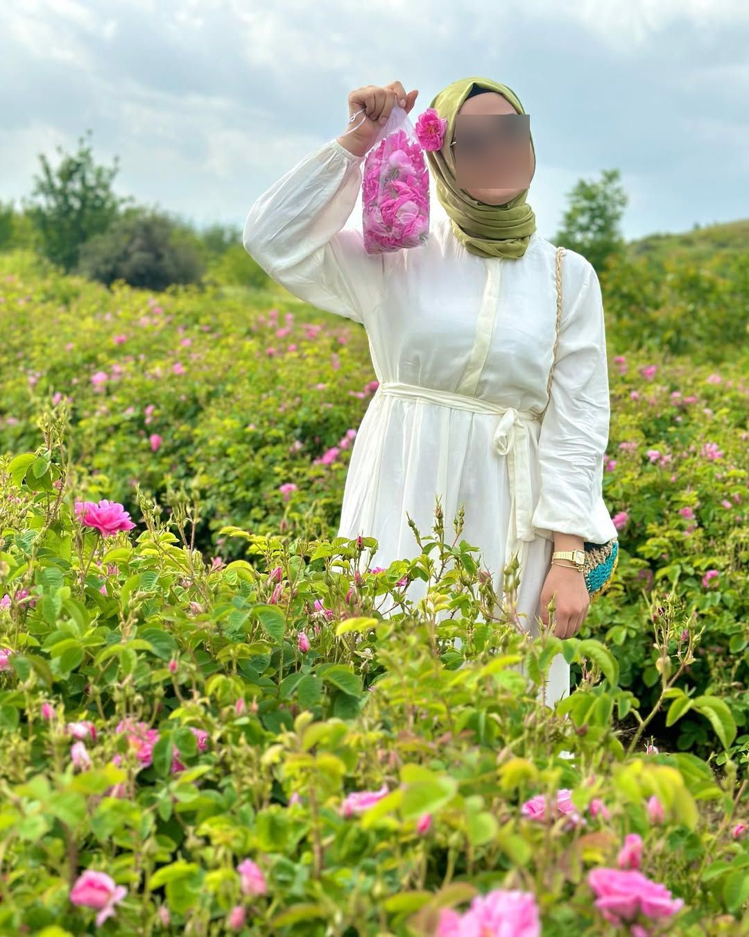 Ardıçlı Köyü Gül Bahçeleri