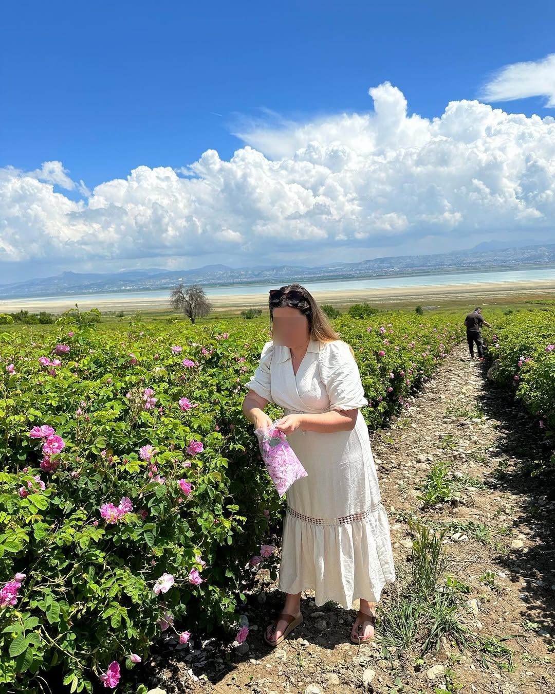 Ardıçlı Köyü Gül Bahçeleri
