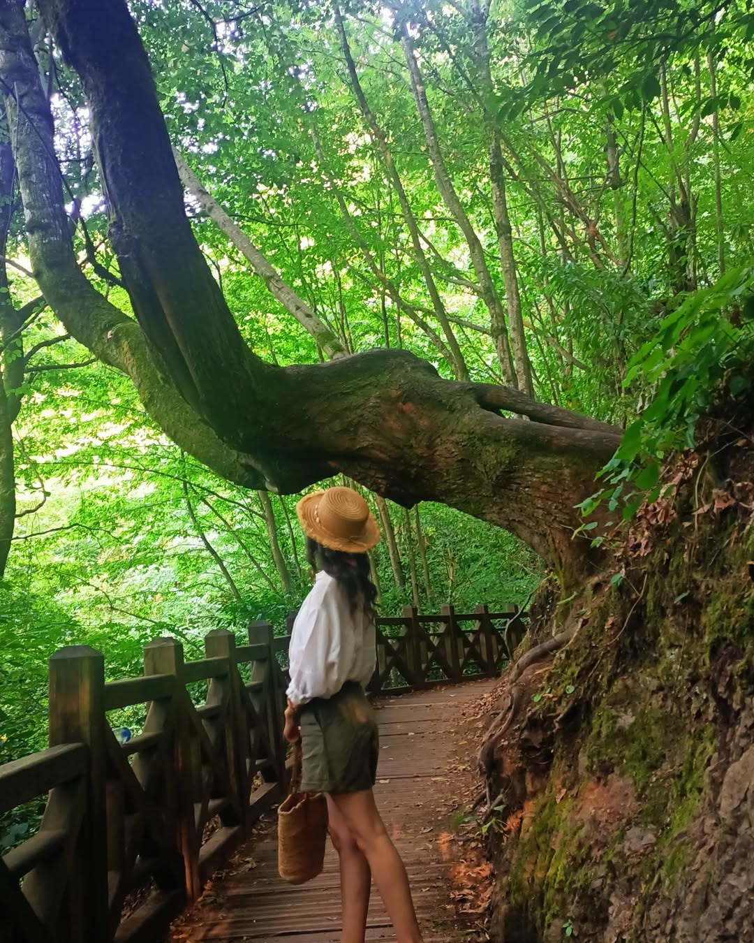 Aydınpınar Şelalesi