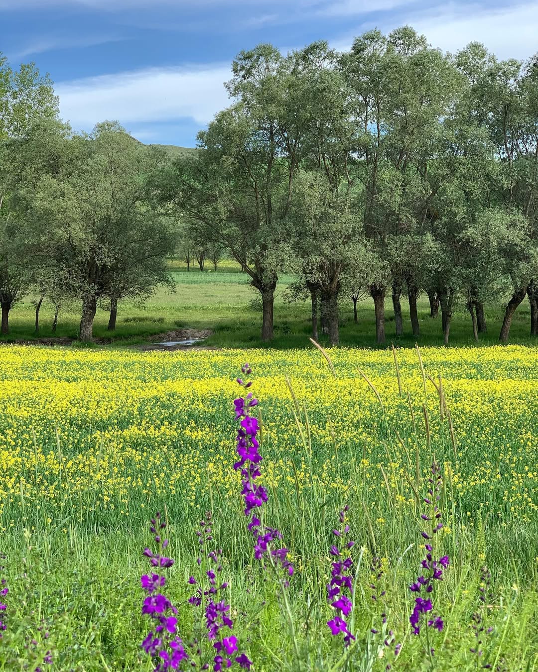 Ilgaz Dağı Milli Parkı