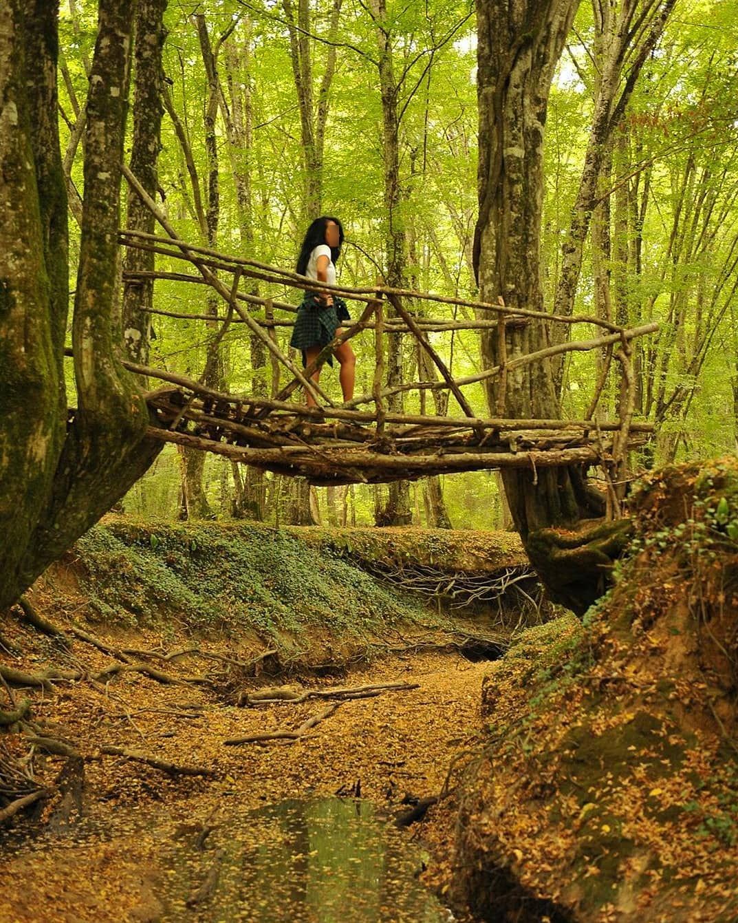 İğneada Longoz Ormanları Milli Parkı