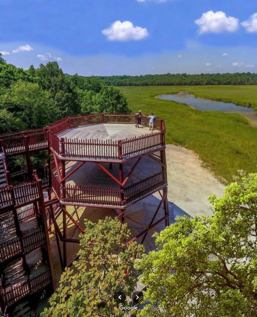 İğneada Kuş Gözlem Kulesi