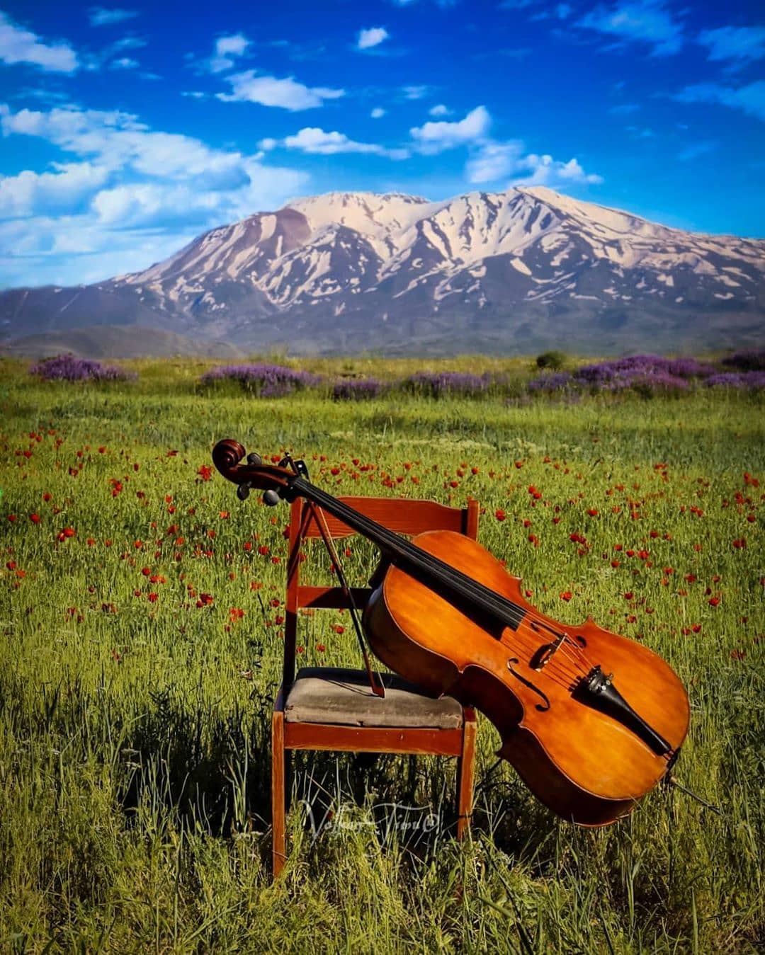 Süphan Dağı Eteği