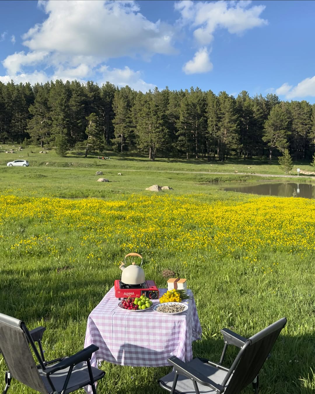 Sarıkamış Ormanları