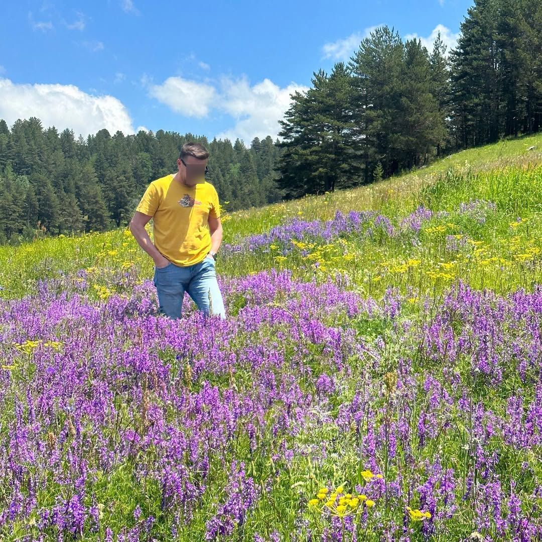 Sarıkamış Ormanları