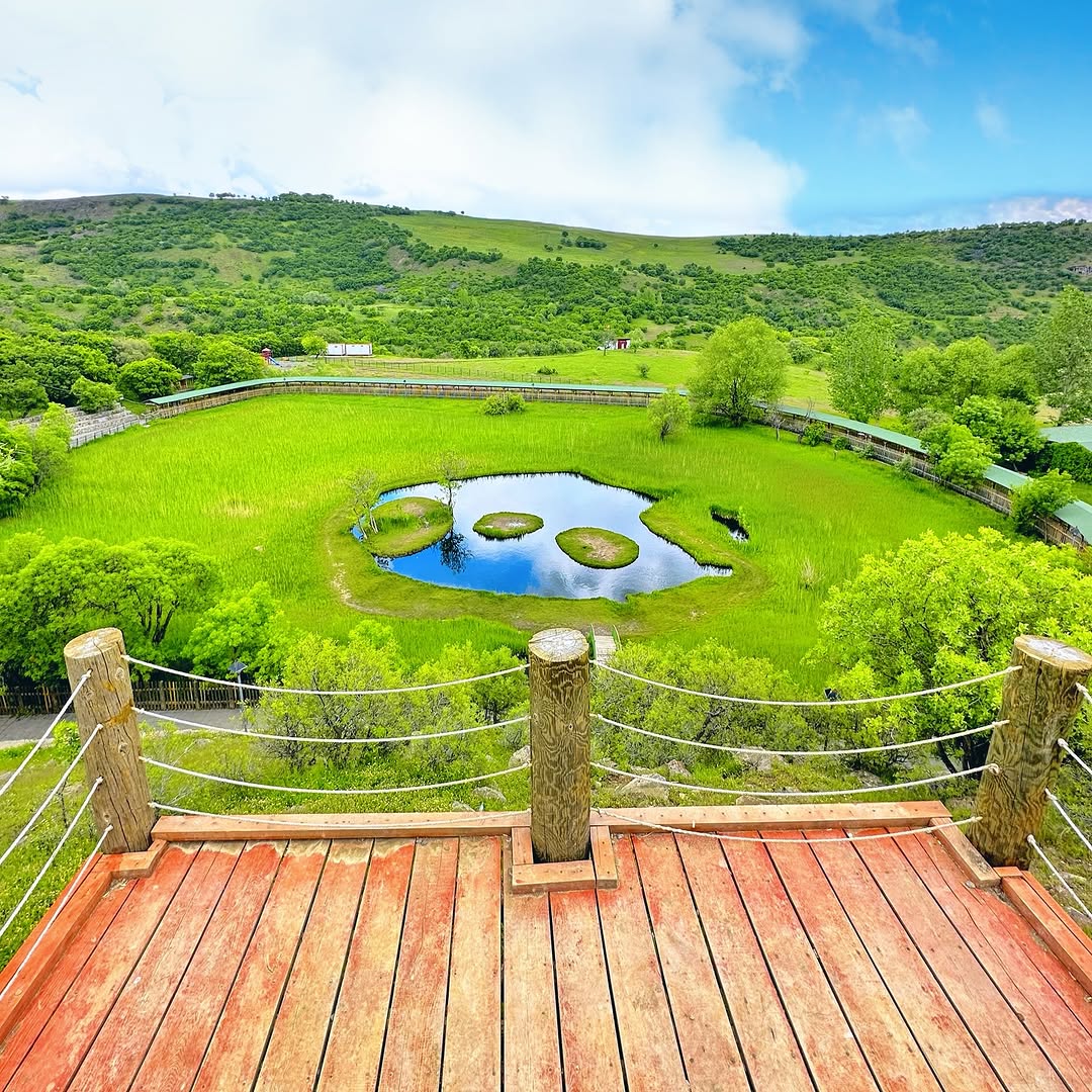 Yüzen Adalar (Hazarşah)