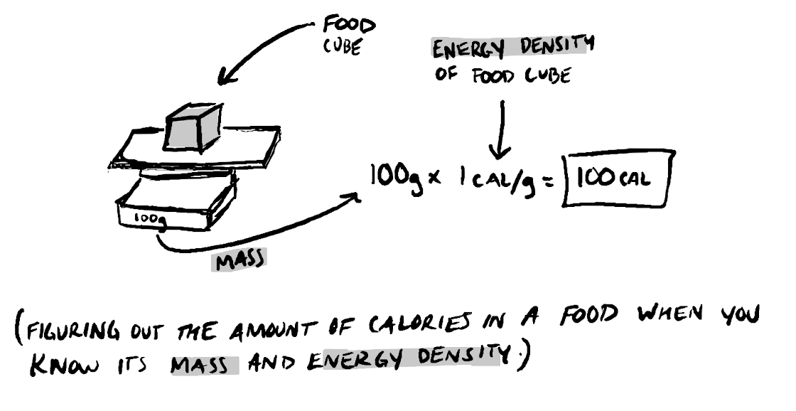 You can figure out the amount of calories in a food when you know its mass and energy density.