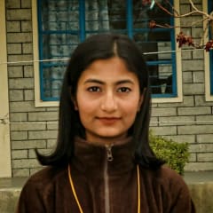 Swikriti T. - TypeScript Developer