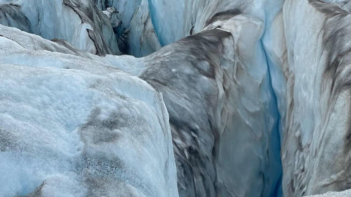 Glacier Trekking - Alerce Glacier Crossing