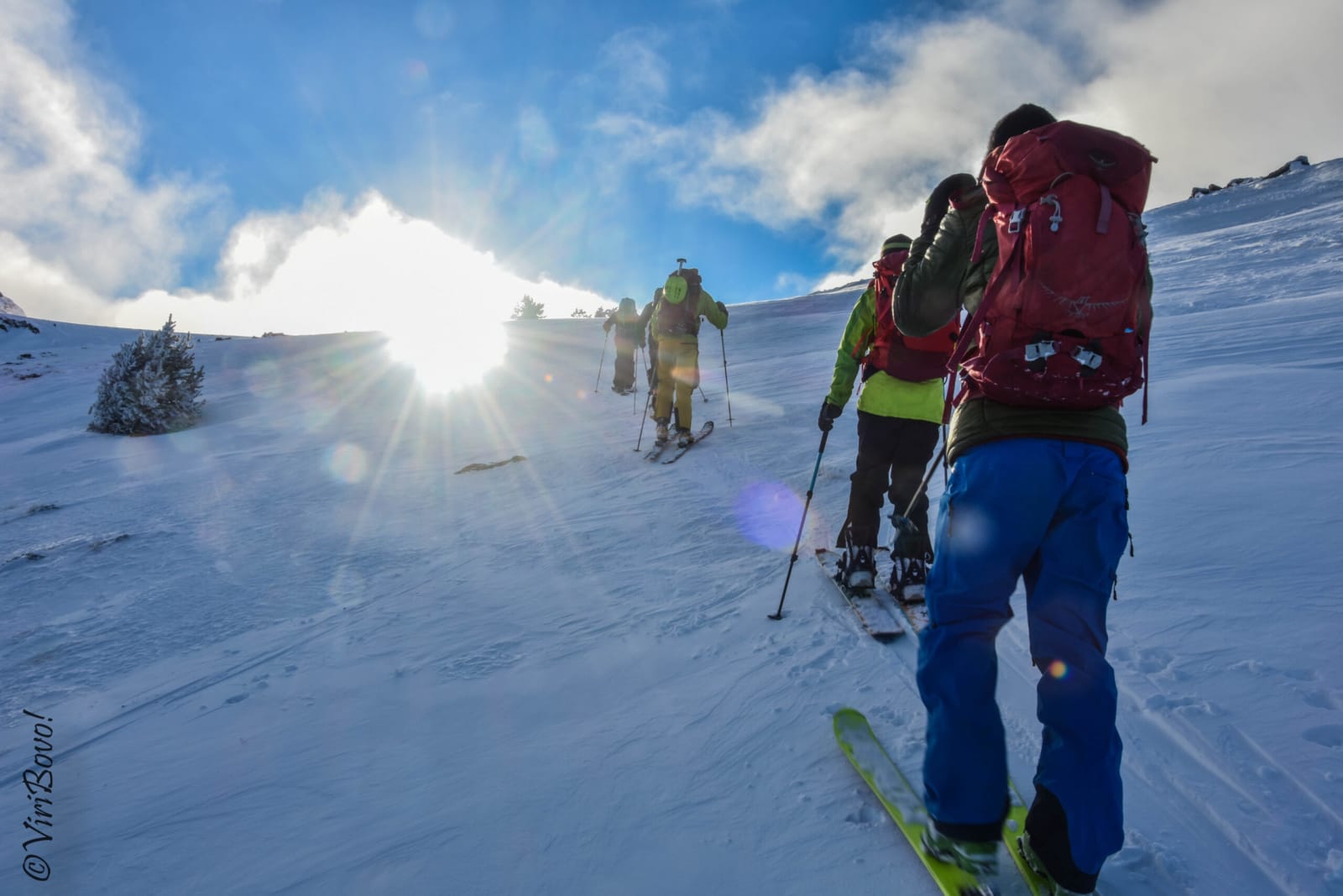 Backcountry Ski & Splitboard Camp