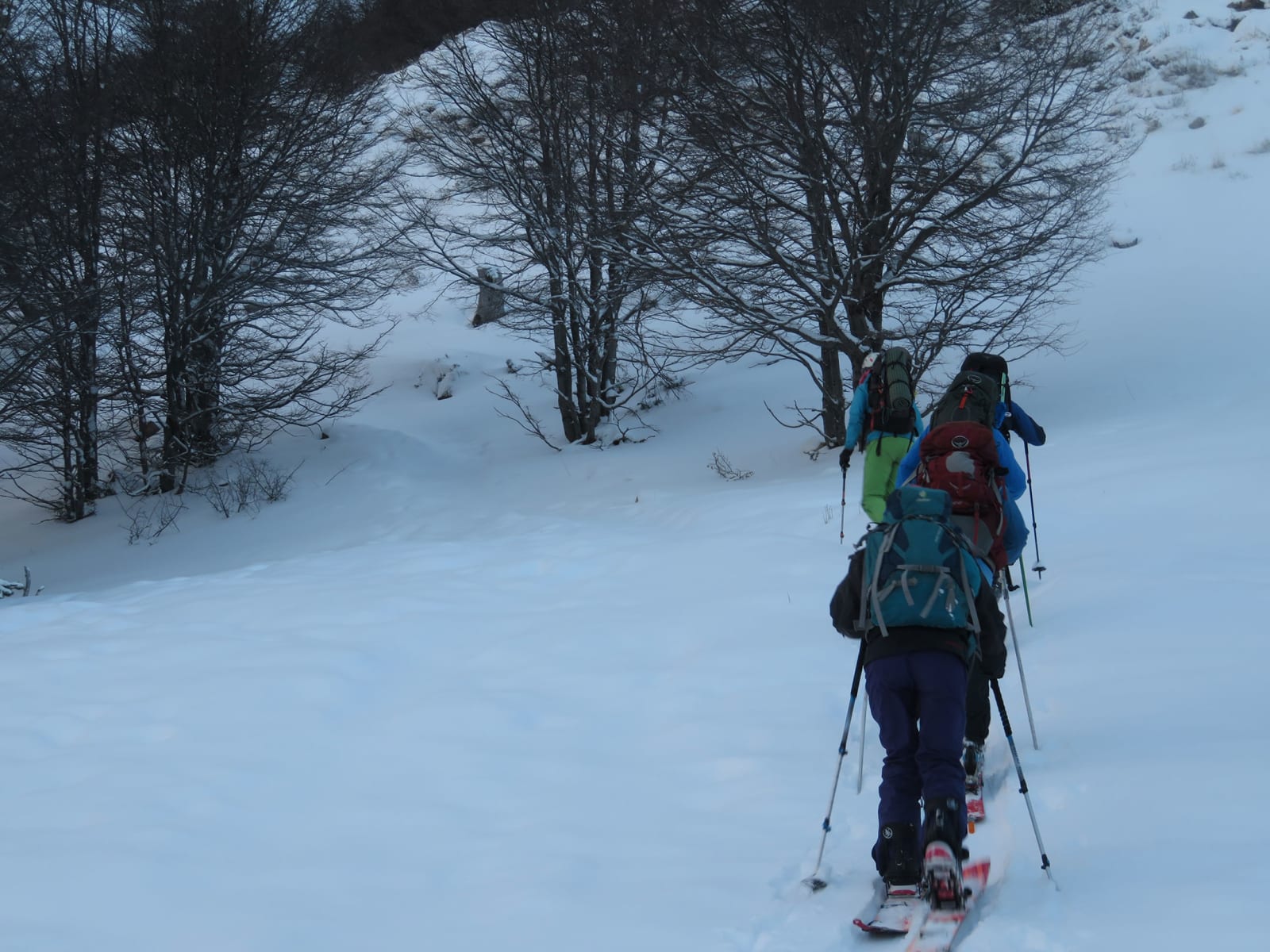 Ski Touring & Splitboard Course Level 1