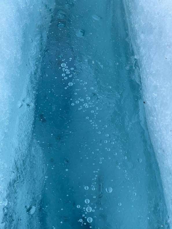 Glacier Trekking - Alerce Glacier Crossing
