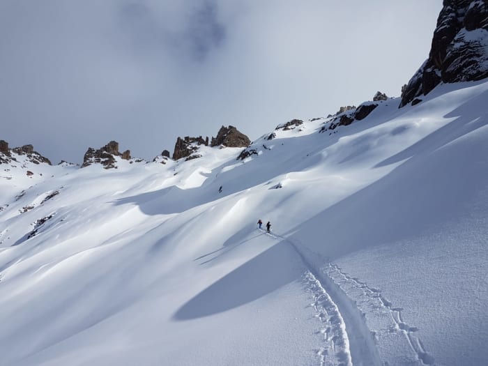 Backcountry Frey