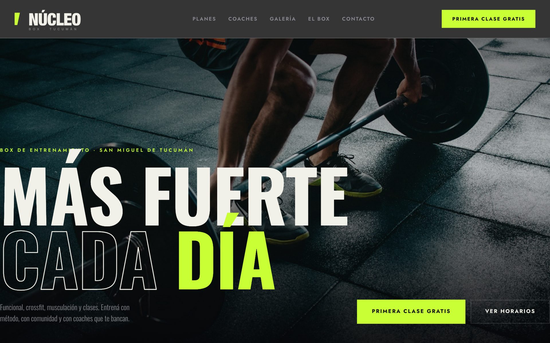 Gimnasio & Entrenamiento